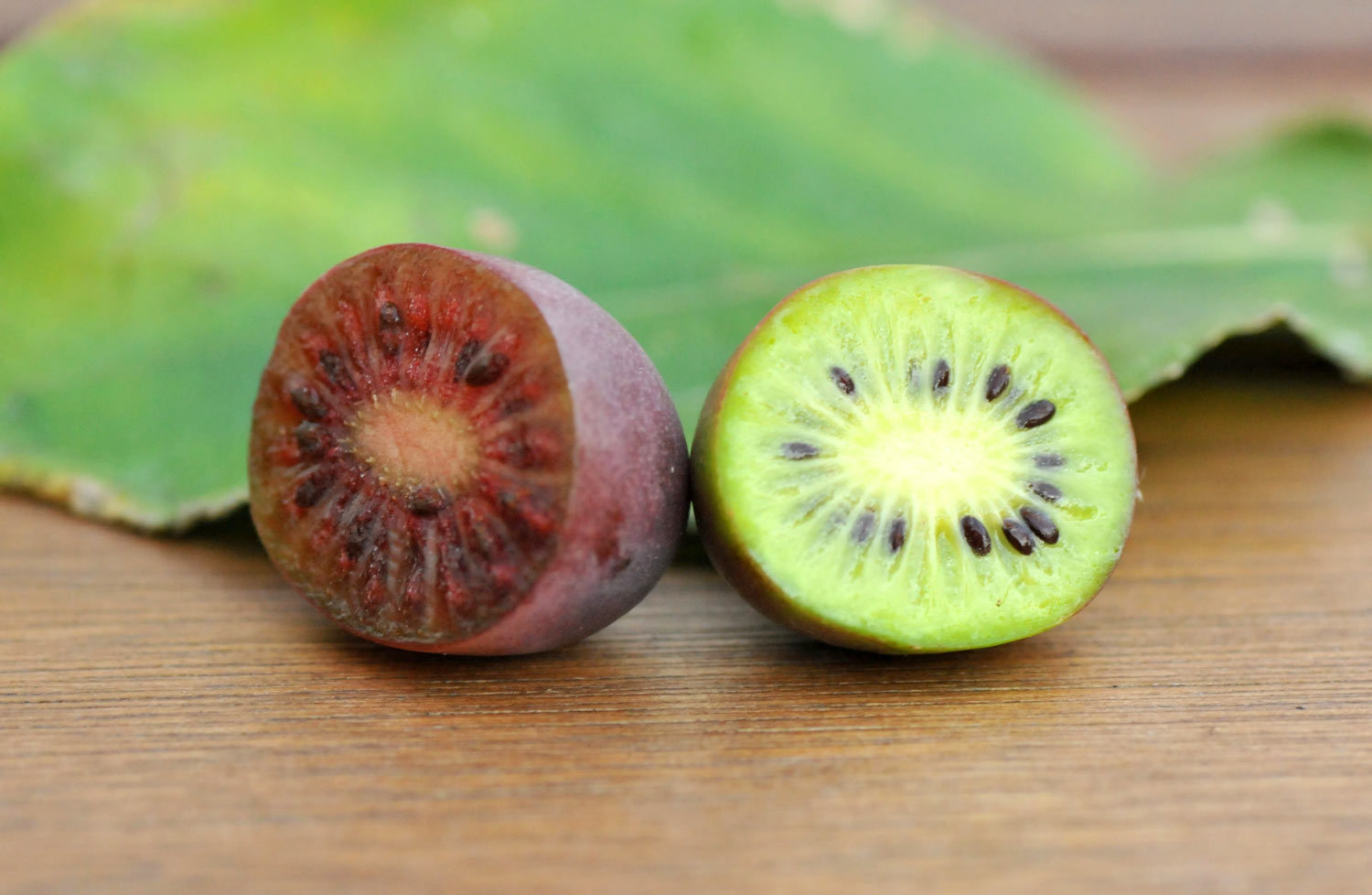 Kiwiberry Australia Weekly Farmers Market